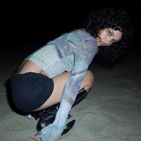 Starfish Mesh Graphic Print Flare Long Sleeve Shirt  - Thumbnail 5