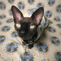 Love Your Mother - Thumbnail 2