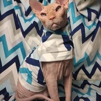 Chevron Blues Velvet - Thumbnail 1