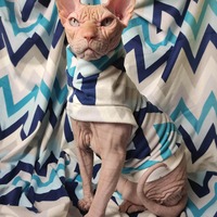 Chevron Blues Velvet - Thumbnail 2