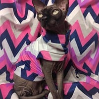 Chevron Pinks Velvet - Thumbnail 1