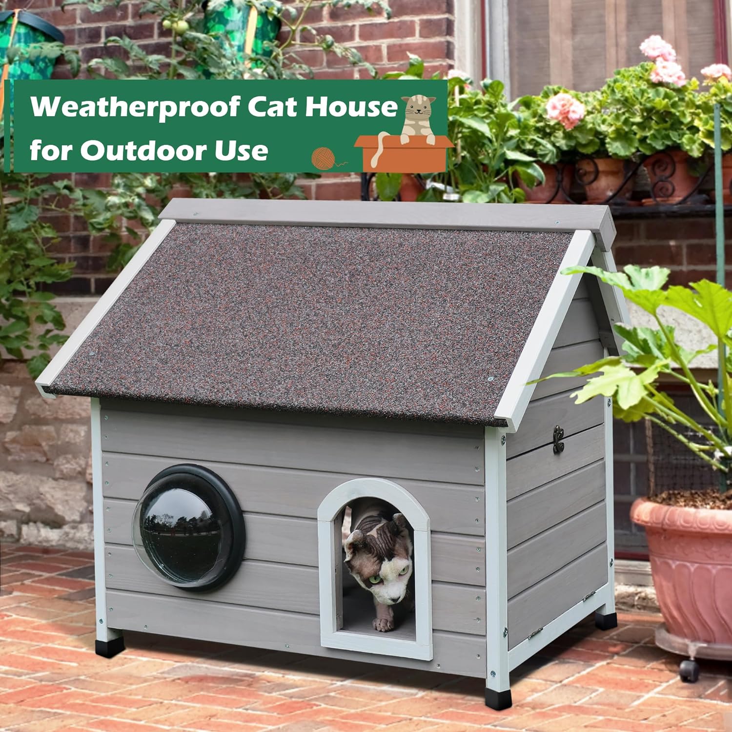 Weatherproof Outdoor Cat Feeder - 7iwqp5i