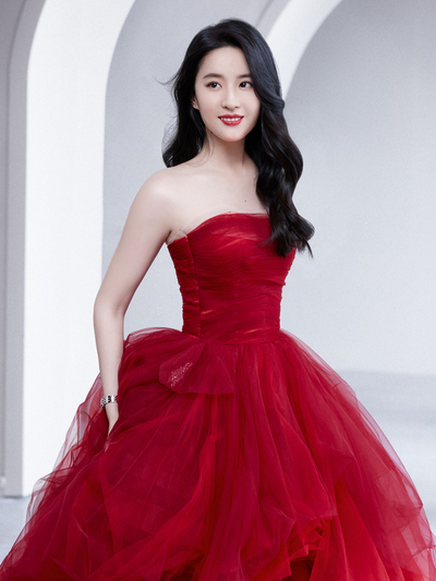 Red tulle long A line prom dress red evening dress,1628