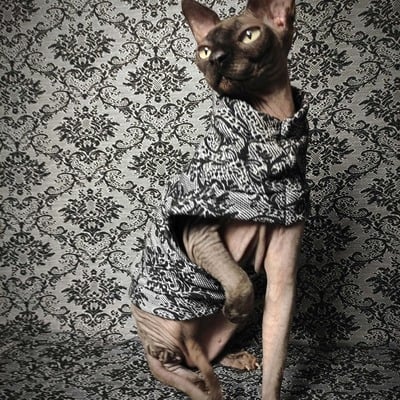 Gothic damask - Thumbnail 3