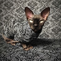 Gothic Damask - Thumbnail 1