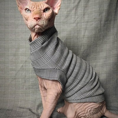 Executive catstooth - Thumbnail 2