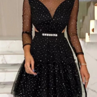 Black Sexy Mesh Long Sleeve Dress - Thumbnail 1