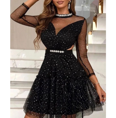 Black Sexy Mesh Long Sleeve Dress
