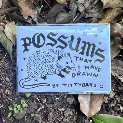 Possums i have drawn zine