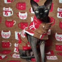 Pussy Mugs - Thumbnail 3