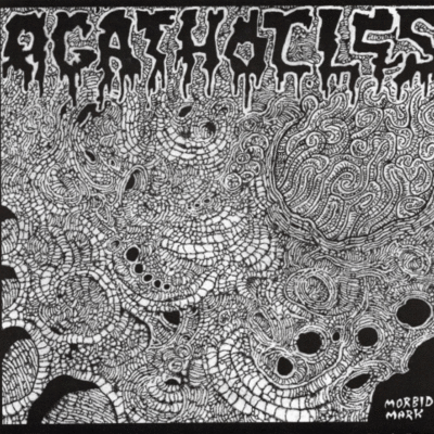 7": agathocles/daisy craters "split"