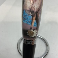 Dinosaur pen - Thumbnail 1