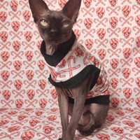 Death By Candy Canes - Thumbnail 1