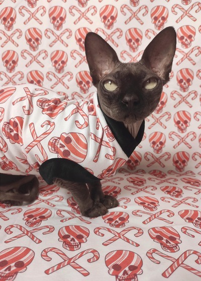 Death By Candy Canes