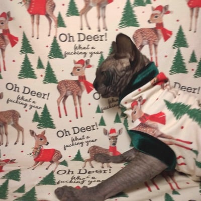 Oh deer! what a fucking year