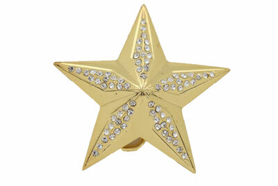 Men Women Gold Metal Fashion Belt Buckle Western Style Texas Lone Star Quality