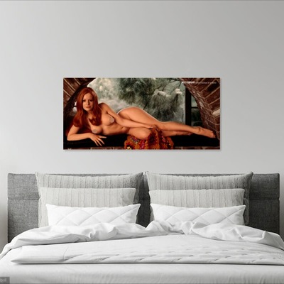 Photo poster, retro,willy rey 1971,size А3 29.7х42.0 inches. wall decoration, home decor, gift.