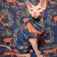 Growth - Thumbnail 1