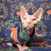 Growth - Thumbnail 2