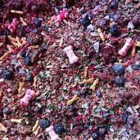  🎄 JUL 🎄: Krampusnacht Loose Leaf Tea - Thumbnail 2