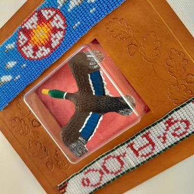 ᎧᏅᏌᏱ - Mallard - Cherokee Animals Series 2