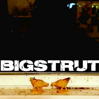 Bigstrut - bigstrut - Thumbnail 4