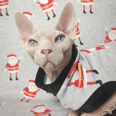 Wave to santa - Thumbnail 2