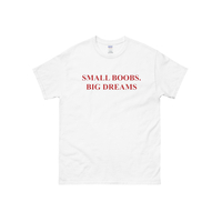 Small Bxxbs Big Dreams T Shirt in White - Thumbnail 1