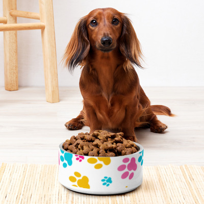 Pet bowl