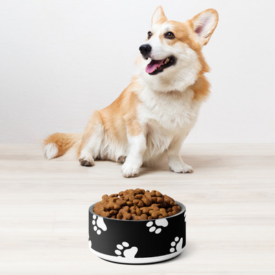 Pet bowl