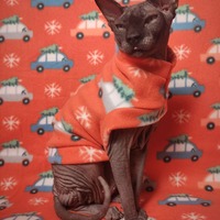 Hustle Bustle - Thumbnail 1