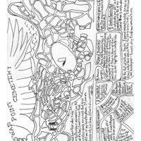 Cemetery Maps Volume 2 - Thumbnail 4