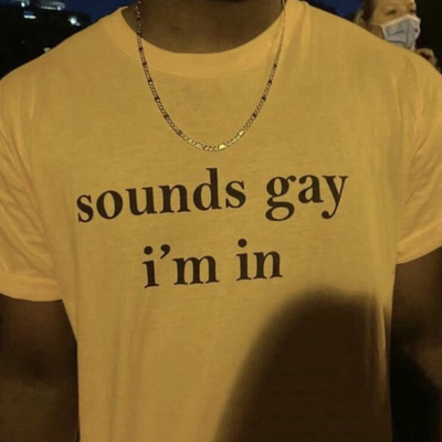 Sounds Gay I'm In Unisex Cotton Tee In White