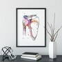 Shoulder joint anatomy print, Orthopedic surgeon office decor-2