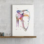 Shoulder joint anatomy print, Orthopedic surgeon office decor-3