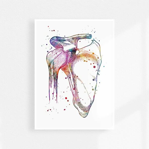Shoulder joint anatomy print, Orthopedic surgeon office decor