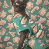 Holiday Baking - Thumbnail 1