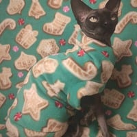 Holiday Baking - Thumbnail 2