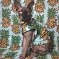 Pineapple Expressmas - Thumbnail 2