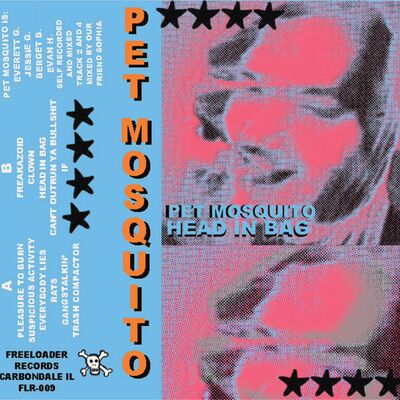 Pet mosquito - head in bag - cassette