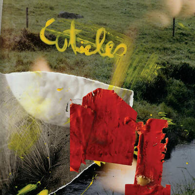 Cuticles "major works" lp (tasmania/siltbreeze/wormwood grasshopper) - Thumbnail 2