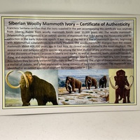 Woolly Mammoth pen - Thumbnail 2