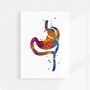 Gastric Bypass surgery watercolor art print-4