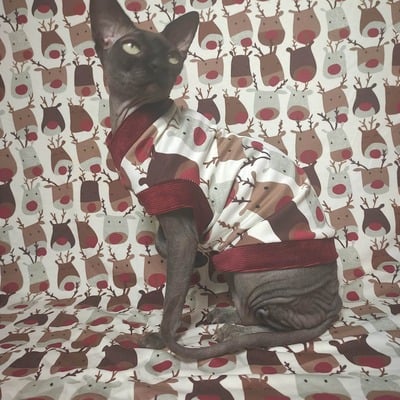 50 shades of rudolph