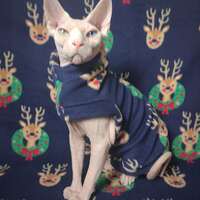 Deer Envy - Thumbnail 1