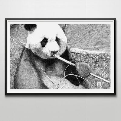 Panda Bear 12x18 Art Print