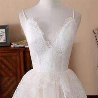 Light Champagne Lace Tulle Long Prom Gown - Thumbnail 1