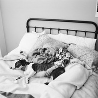 Artists with Animals Fine Art Mini-Print Notecards - Series 1 - The Original!  - Thumbnail 5