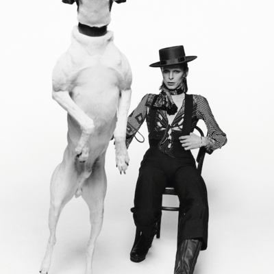 David bowie, diamond dog - set of five (5) fine art mini-print notecards - Thumbnail 3