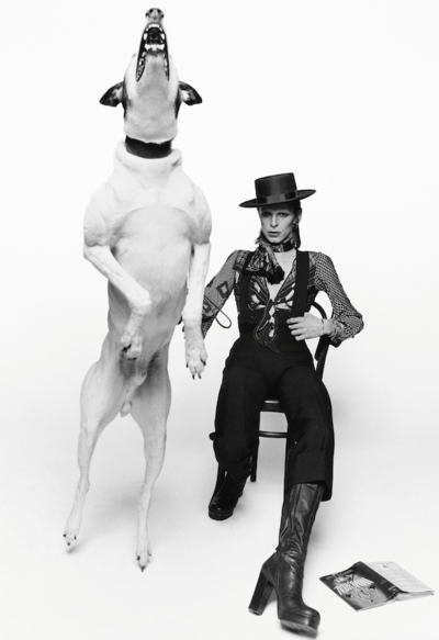 David Bowie, Diamond Dog - set of five (5) fine art mini-print notecards